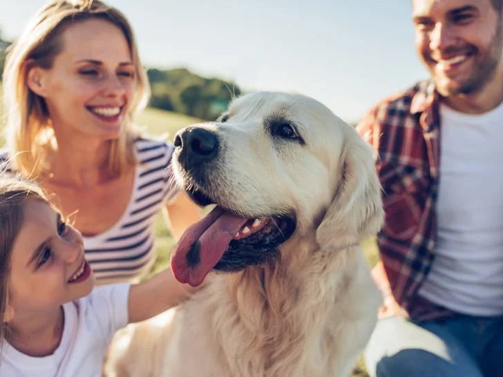 Besoin d'une gourde adaptée a votre chien lors des activités en plein air ? Voici la solution.