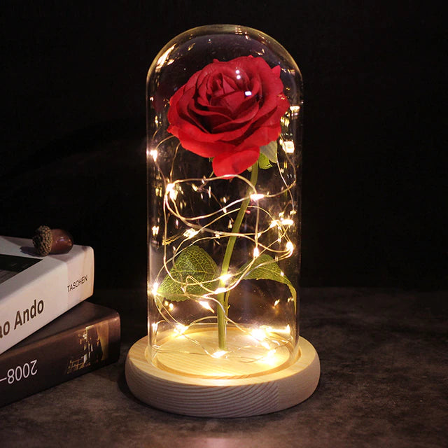 LoveEternal™ - Rose éternelle en dôme avec Leds - 1000-Cadeaux