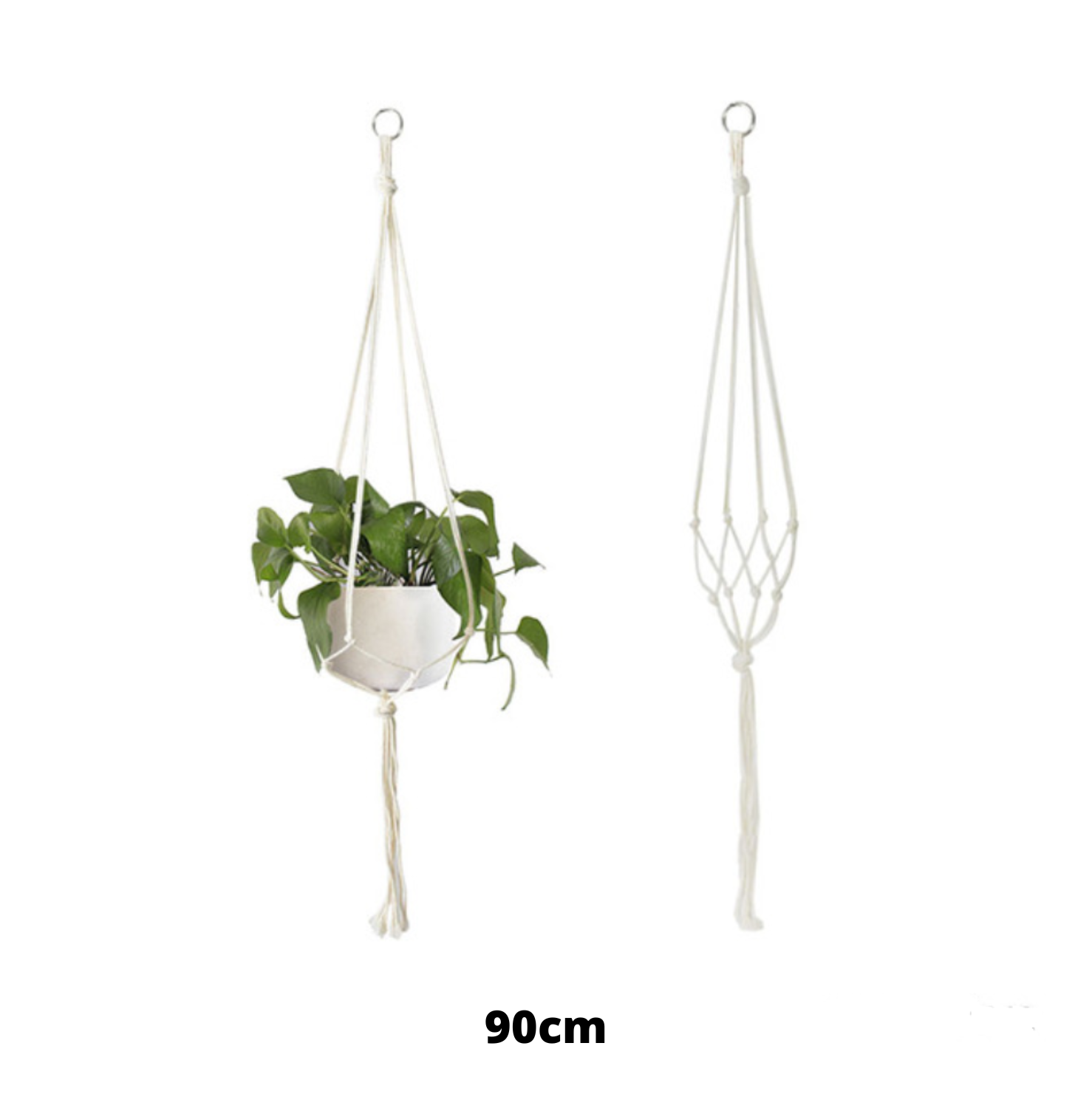 GravityGarden™ - Paniers suspendus pour plantes - 1000-Cadeaux